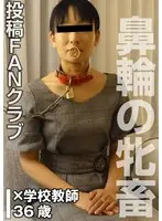 鼻輪の牝畜 SMセックス（投稿ネーム◎石原由紀子）