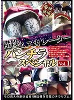 階段・エスカレーターパンチラスペシャル Vol.1