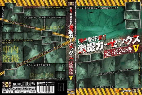覗き愛好家！！激撮カーセックス盗撮24時 5 （DOD）