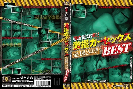 覗き愛好家！！激撮カーセックス盗撮24時 BEST （DOD）