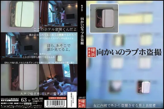 Voyeur: Love Hotel Across the Street