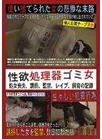 性欲処理器ゴミ女