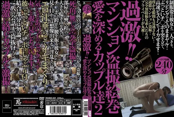 過激！！マンション盗撮絵巻 愛を深めるカップル達 2