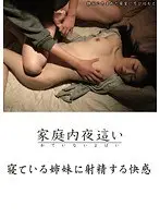 Night Visit in the Family: The Pleasure of Cumming Onto S******g Stepsisters