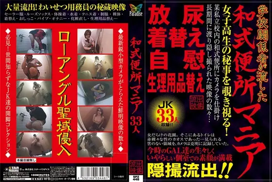 Japanese Style Toilet Mania