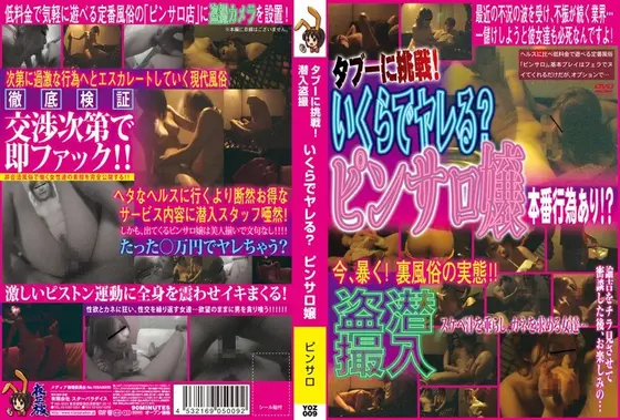 タブーに挑戦！潜入盗撮 いくらでヤレる？ピンサロ嬢