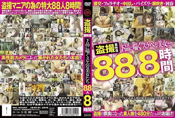 盗撮裏映像 下品に喘ぐスケベな美女たち88人 8時間（2枚組）
