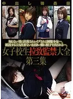 The Abduction And Confinement Of A S********l - Complete Works - Collection Three