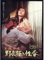 不良少女 野良猫の性春