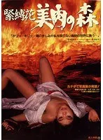 緊縛花・美肉の森