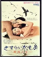 さすらいかもめ 釧路の女