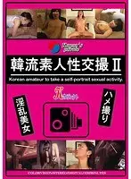 韓流素人性交撮 II