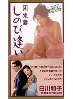 "Indulgent Lewdness: 'Broad Daylight Without the Husband! About One-Third of Rapes Targeting Housewives Occur in the Victims' Own Homes!!' Real-Life Submission #3: Creampie Real Rape Documentary (Blu-ray Disc) (BOD)"