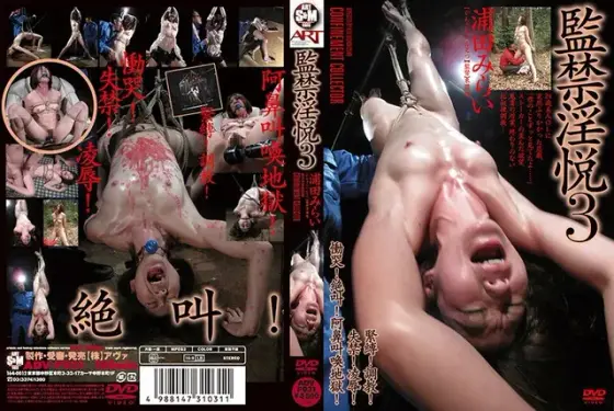 監禁淫悦 3 浦田みらい