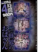 世界のおばさん肉便器4時間980円 （DOD）