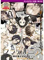 【DVD-PG】フラテルニテ 〜神村愛が求めるモノ〜 ［PG EDITION］ （DVDPG）
