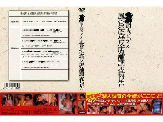 Survey Report of I*****l Sex Service Establishments