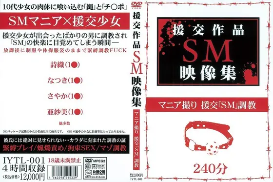 援交作品SM映像集