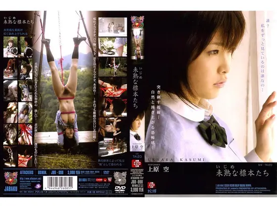 Harassing Our Naive Guinea Pigs - Kasumi Uehara