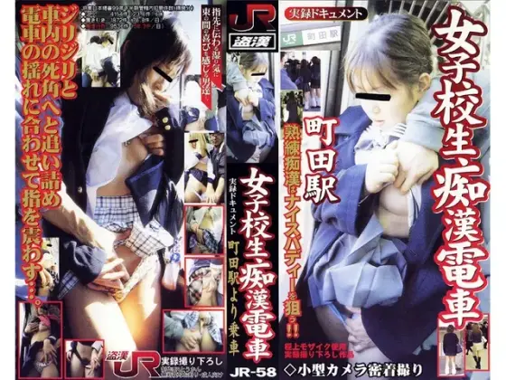A s*********l on a train full of molesters, a ride from Machida station
