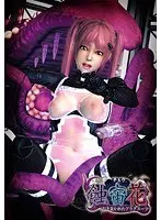 蝕宙花（DVDPG）