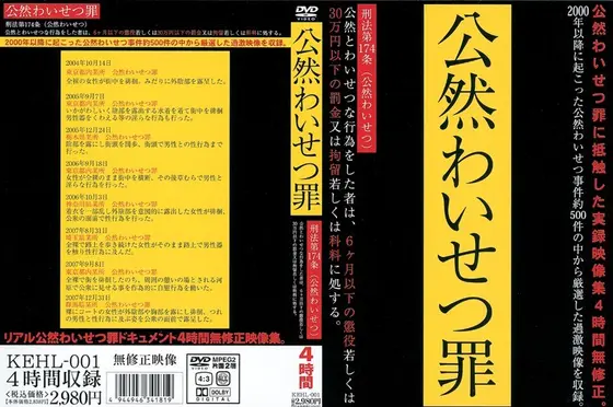 公然わいせつ罪