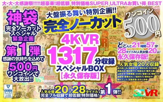 [VR] [500 yen one coin] Completely uncut large-scale special project! ! 4KVR 1317 minutes recording special BOX [Permanent preservation version]