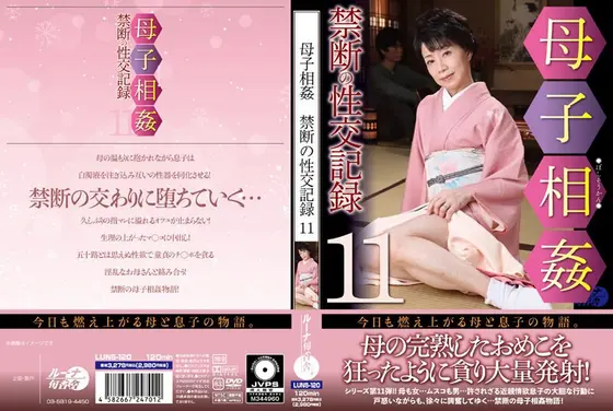 母子相姦禁断の性交記録11 （DOD）
