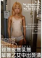 嗚呼、親無家無乳無華奢乙女中出死漬 （DOD）