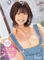 You Can't Ignore This! 8-Hour Special Of The Complete Works Of Wakaba Onoue