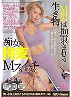 Masochistic Men Are Animals That Live To Get Tied Up. Tied Up By A Slut, Switch Into A Masochist - Ayaba Isshiki