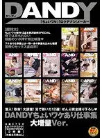 DANDY Special Work Collection Huge Ver.