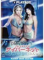 プレイメイト in サイバーネット