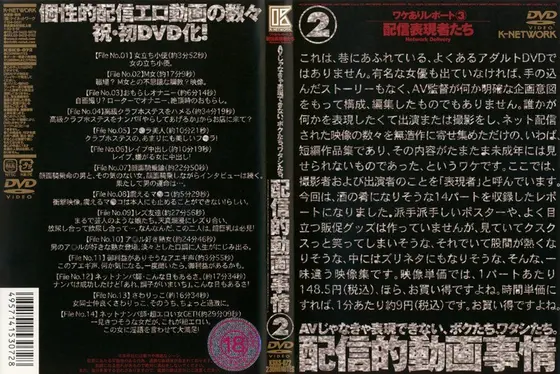 AVじゃなきゃ表現できない、ボクたち、ワタシたち。配信的動画事情 2