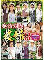 発情期の農婦 3