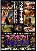 Sex Hotel - Hidden Cam Fuck Koshinetsu Edition