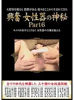 興奮 女性器の神秘 Part 6