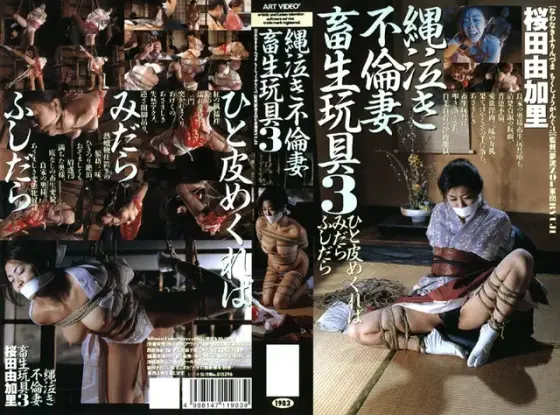 Bound Crying Bitch Gets Sextoy Fucked 3 Yukarai Sakurada