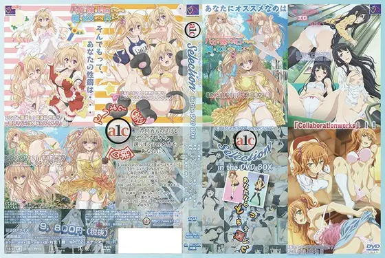 A1C Selection in the DVD BOX 究極の選択！！黒髪ロングでペタンコ胸なツンデレ妹 ＆ 金髪ロングでバクニュウ、おバカな妹 あなたの妹属性は拗れてますか？ 編