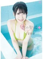恋の聖域＋（プラス）/星宮葵