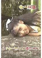 プッシーグルメを捧げます/井上美樹