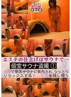 Voyeur Private Sauna 1