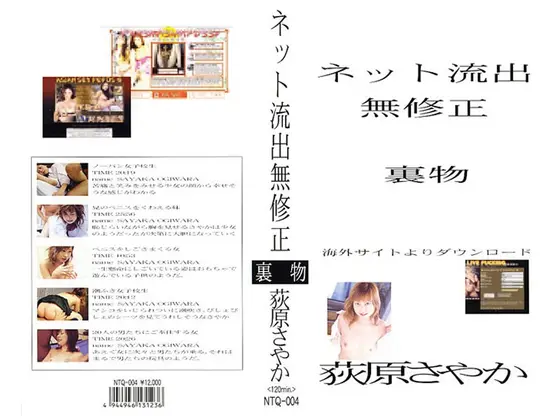 Hidden Online Leak Sayaka Hagiwara