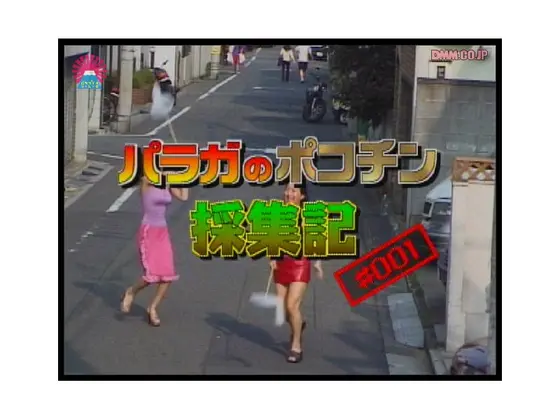 Paradise TV's Cock Collection #1