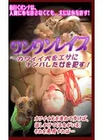 Picking Up Girls Using Cute Dogs! Doggy R**e!