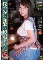 僕の家は頻繁に停電をした 川内薫 （DOD）