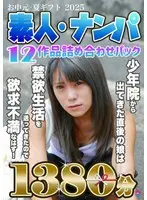 [Midyear gift/summer gift 2025] Amateur/pickup 12 works assortment pack 1380 minutes