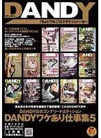 DANDY Formula Complete Edition DANDY's Special Work Collection 5