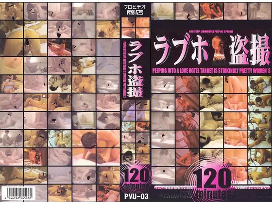Love Hotel Voyeur 120minutes