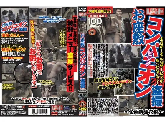 Posting from Executive Secretary: Voyeur Footage of Naughty Hostesses in Tatami Room